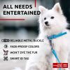 Ultra Soft Rolled Leather Dog Collar for Small Dogs 10 - 13 inch Neck Soft Padded Dog Collars for Medium Dogs Puppy Collars for Large Breed Dogs Male