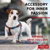 Nylon Dog Leash for Small Dogs and Medium Dogs 4 Ft Strong Dog Leash for Large Dogs Heavy Duty Dog Leashes