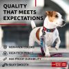 Nylon Dog Leash for Small Dogs and Medium Dogs 4 Ft Strong Dog Leash for Large Dogs Heavy Duty Dog Leashes